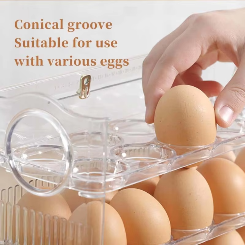 Fresh-Keeper PET Plastic Egg Storage Box Injection-Technics Refrigerator Organizer Food Container Kitchen Storage Tray Dispenser